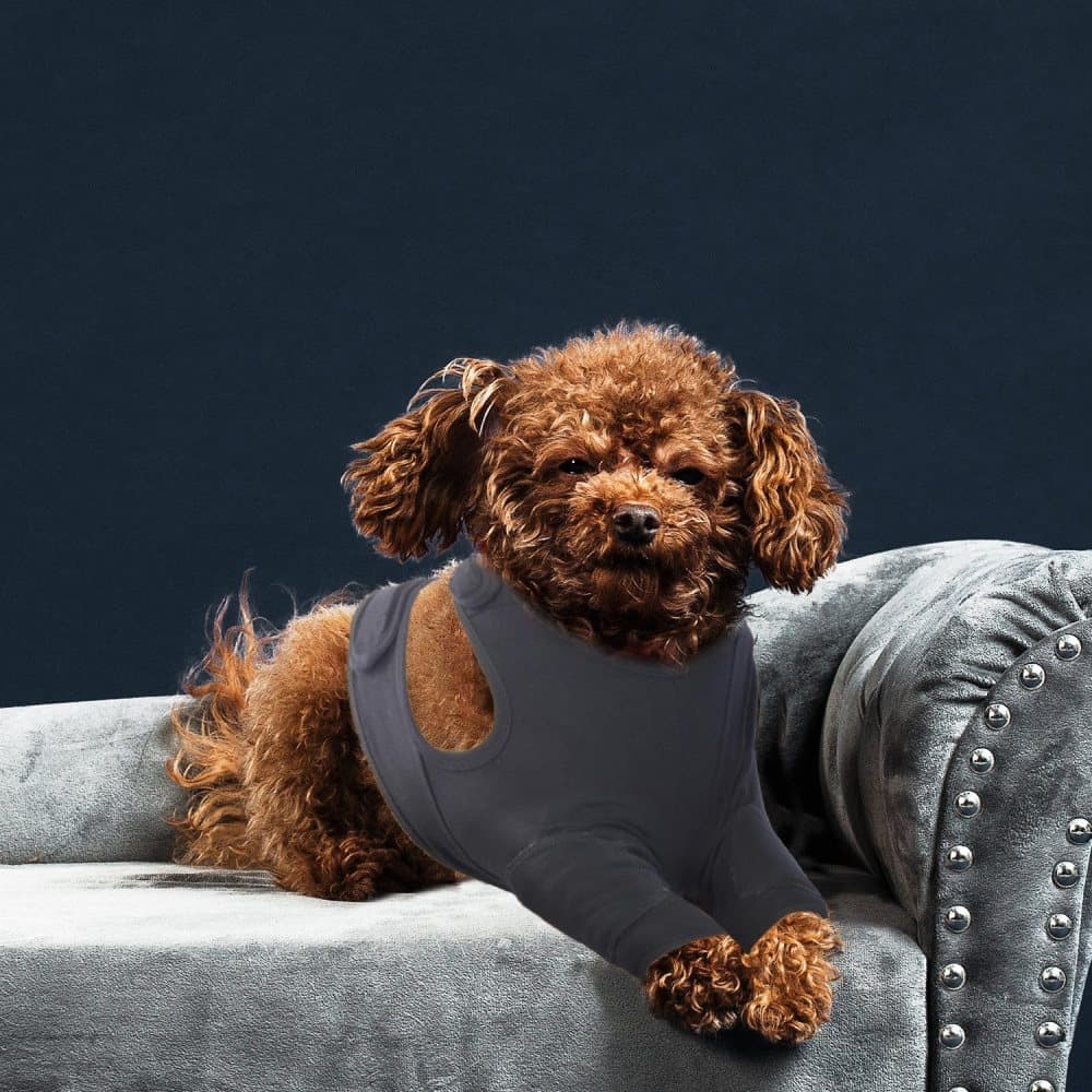 Breathable Elastic Dog Elbow Protector for Post-Surgery, Prevents Licking and Biting, M, Black