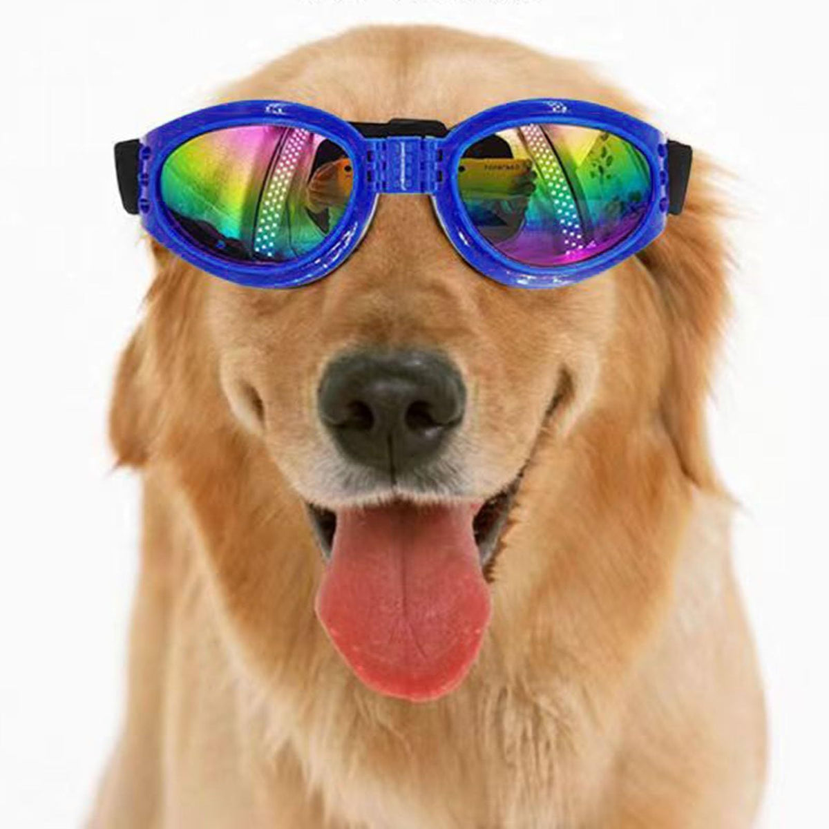 Pet Polarized Eye Protection Sunproof Accessories Dog Sunglasses Small Breed Uv Windproof Sun Glasses Goggles Adjustable Folding