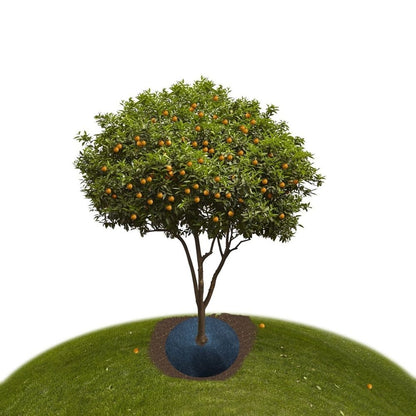 Non Woven Tree Mulch Ring Thickened Tree Protector Mat, 24.4 Inch Reusable Tree Mat Round Fabric Tree Barrier Barrier Mats for Control Plant Protection (Black,1Pcs)