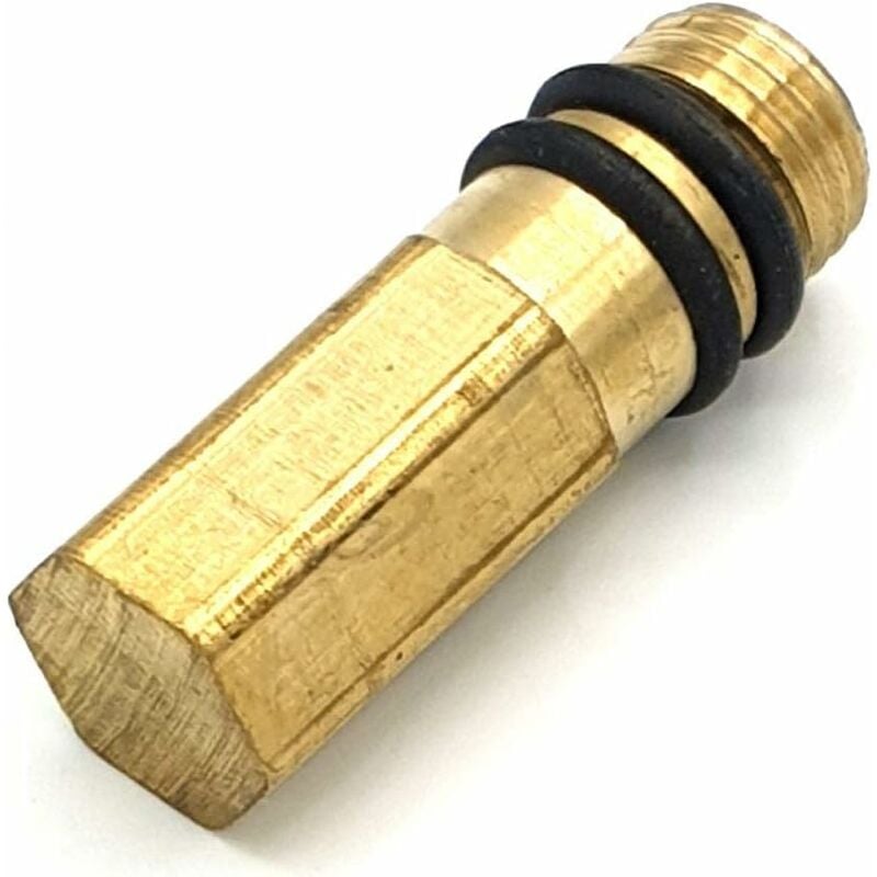 M10 10mm Blind Plug for Flexible Inlet Valve