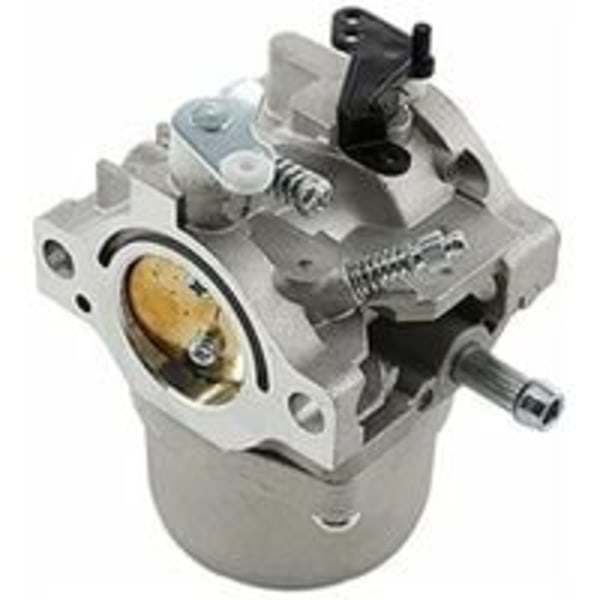 Carburetor with Gasket for Briggs & Stratton 11-11 5-12-12 5-13-13.5 HP Lawn Mower Replaces 799728 498027 495706 494502 494392 498134_yux