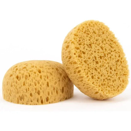 2 Pack Drywall Texture Sponge Tools