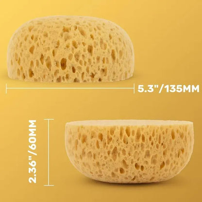 2 Pack Drywall Texture Sponge Tools