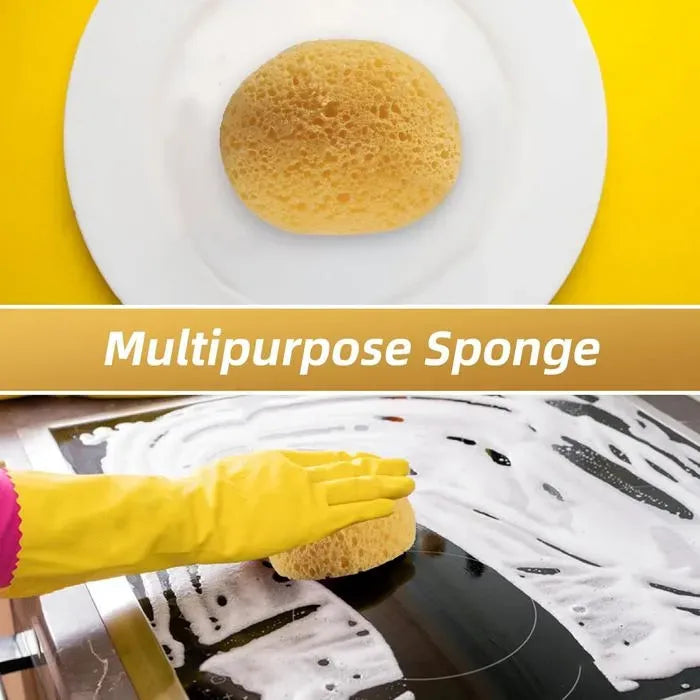 2 Pack Drywall Texture Sponge Tools