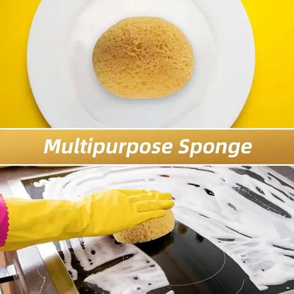 2 Pack Drywall Texture Sponge Tools