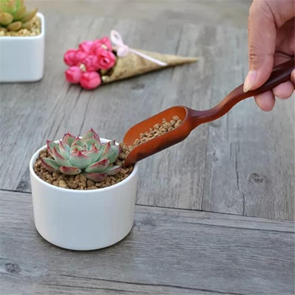 Planting Tools Mini Home Gardening Tools Set Succulent Plant Transplant Tool for Gardener