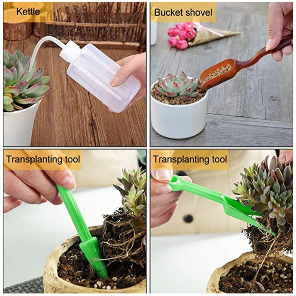 Planting Tools Mini Home Gardening Tools Set Succulent Plant Transplant Tool for Gardener