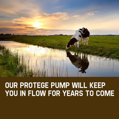 Protege 1.5HP Submersible Bore Water Pump Deep Well Irrigation Stainless Steel